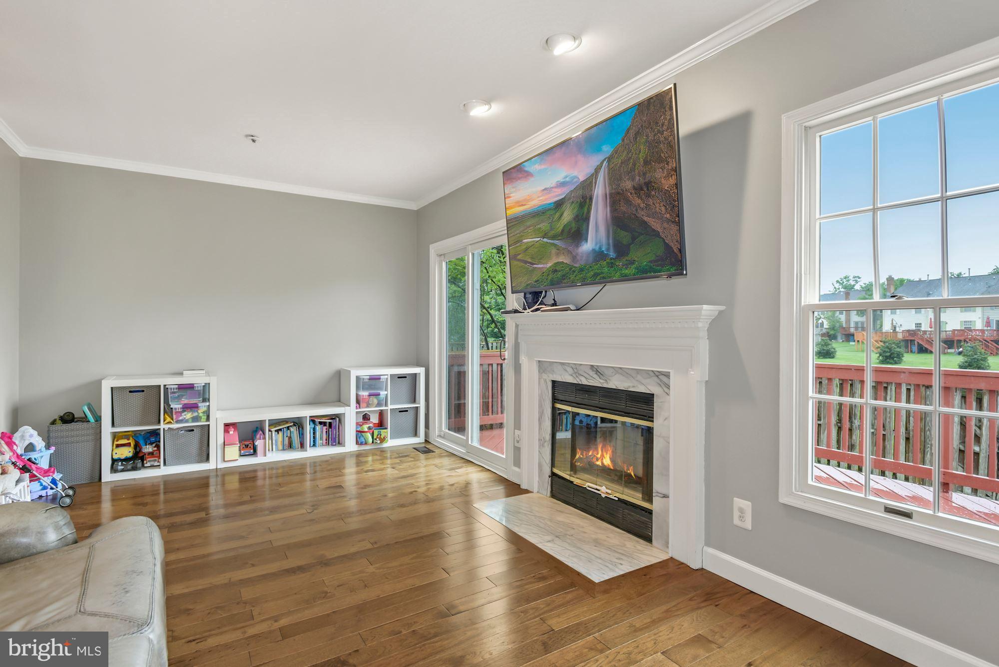 20121 Crew Square Ashburn, VA 20147 - Photo 16 of 36 a living room with furniture a fireplace and a large window