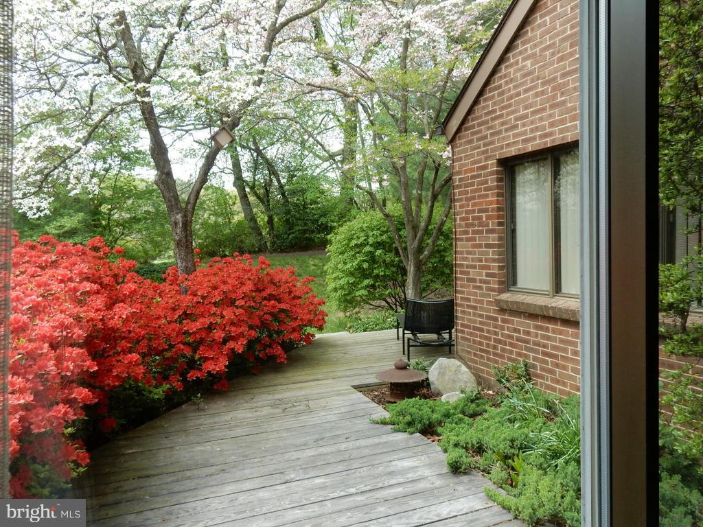 11304 Harborside Cluster Reston, VA 20191 - Photo 16 of 28 REAR DECK OFF MASTERBEDROOM IN SPRING