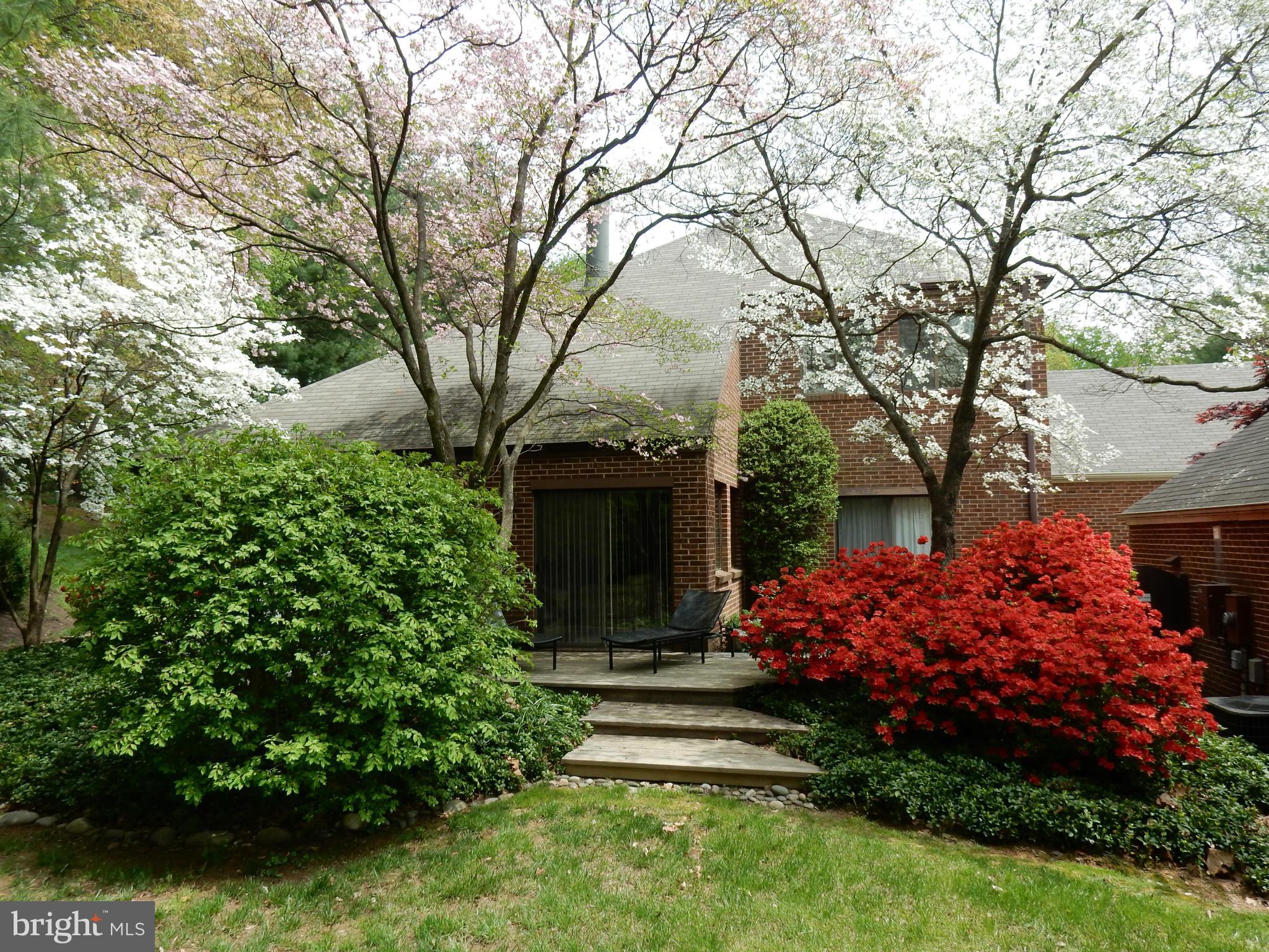 11304 Harborside Cluster Reston, VA 20191 - Photo 24 of 28 BACKYARD IN SPRING