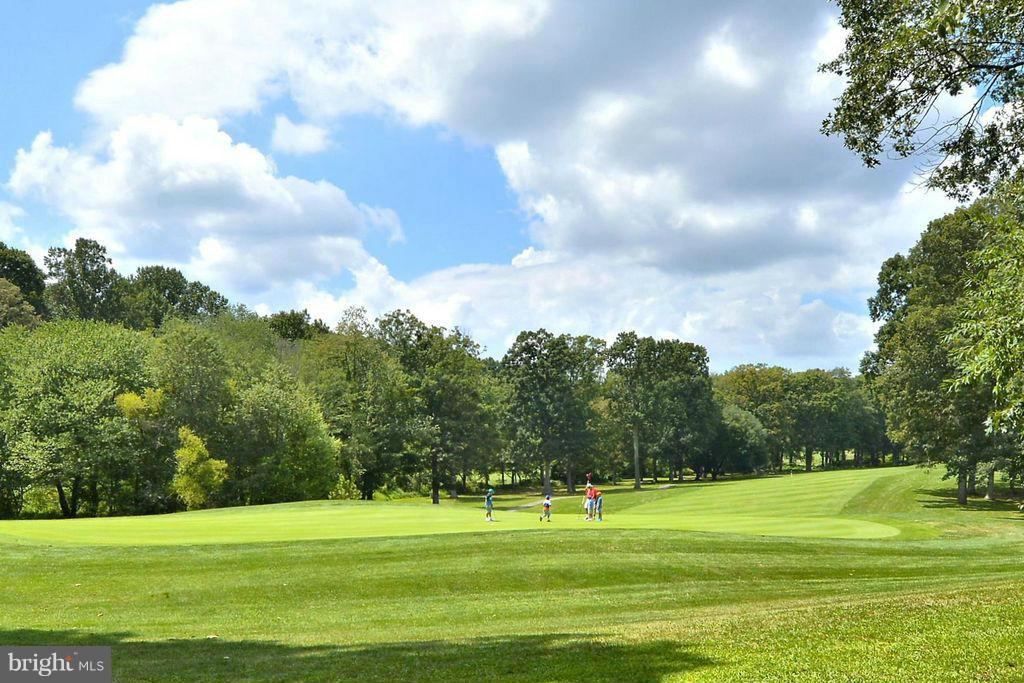11304 Harborside Cluster Reston, VA 20191 - Photo 25 of 28 CLUSTER BACKS TO GOLF COURSE