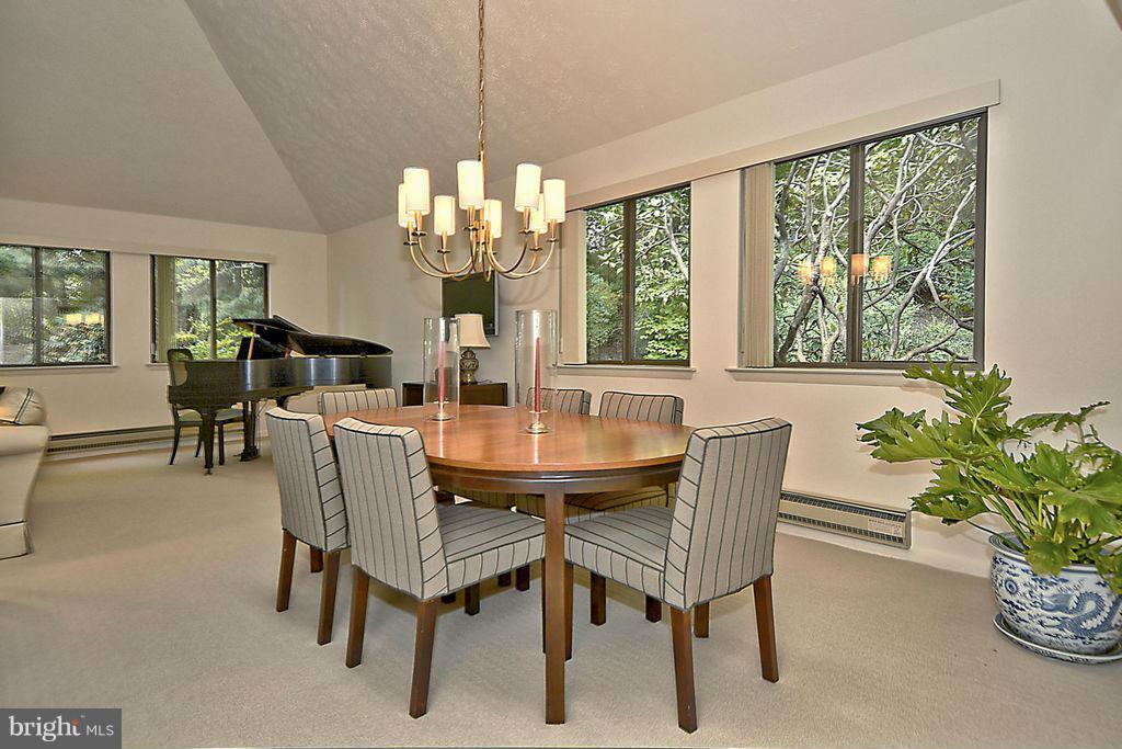 11304 Harborside Cluster Reston, VA 20191 - Photo 8 of 28 SPACIOUS DININGROOM WITH SKYLIGHTS