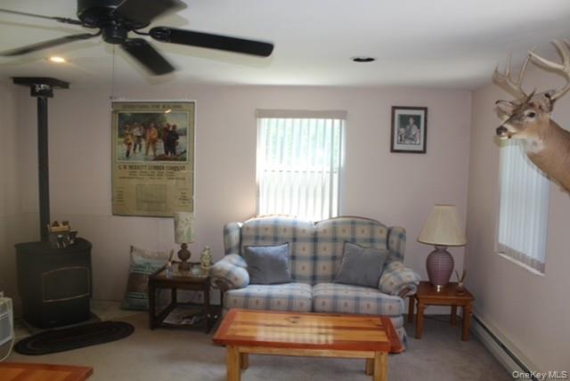 553 Friedenstein Road Roscoe, NY 12776 - Photo 20 of 25