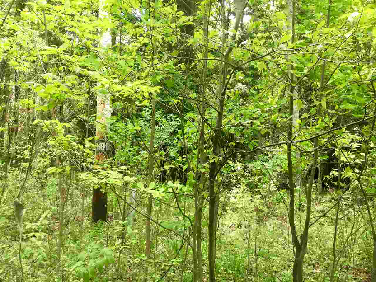 2261 Mann Road Sterling, MI 48659 - Photo 5 of 6 Gallery Image 5