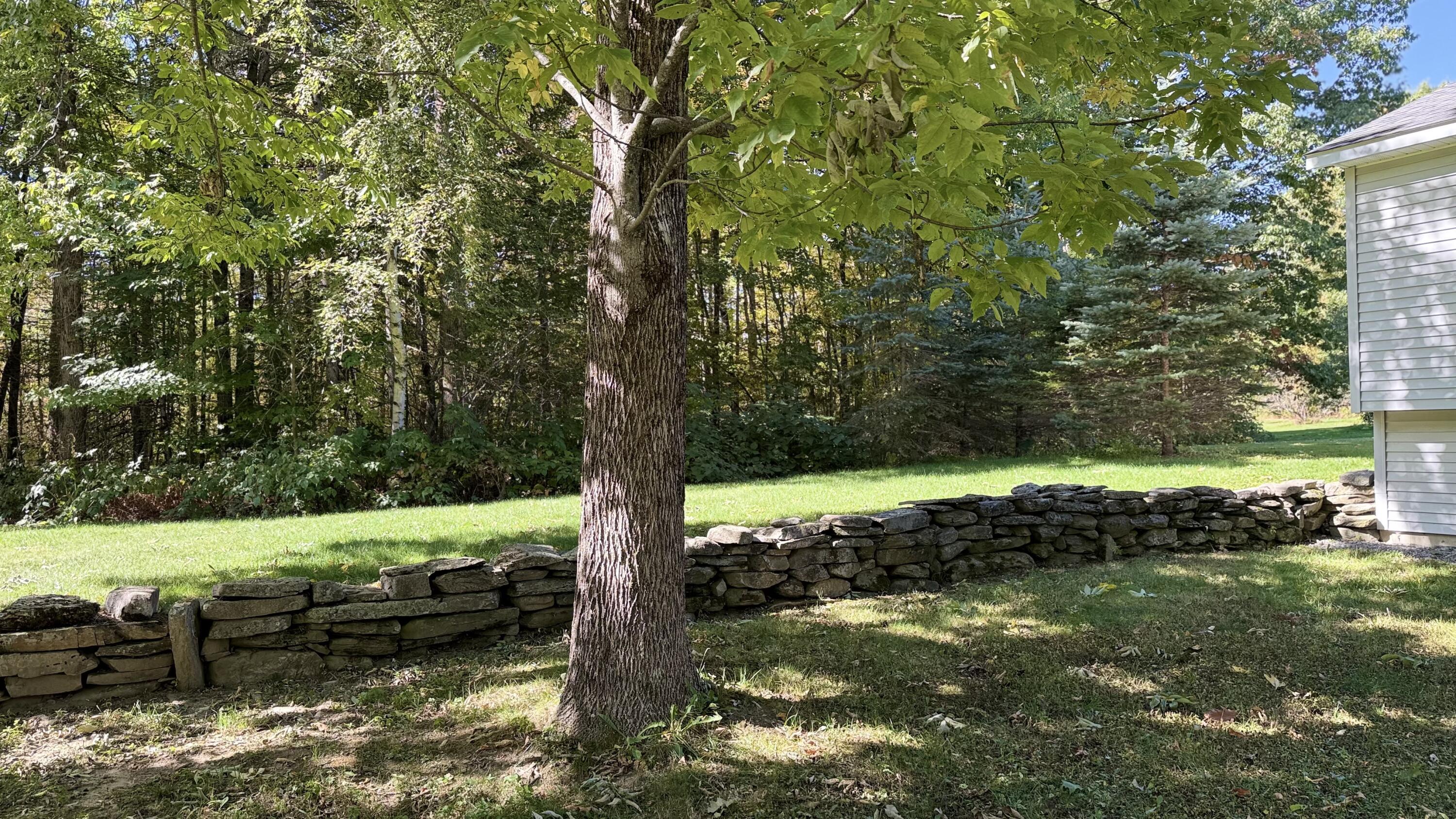 249 School Road Charleston, ME 04422 - Photo 70 of 93 70