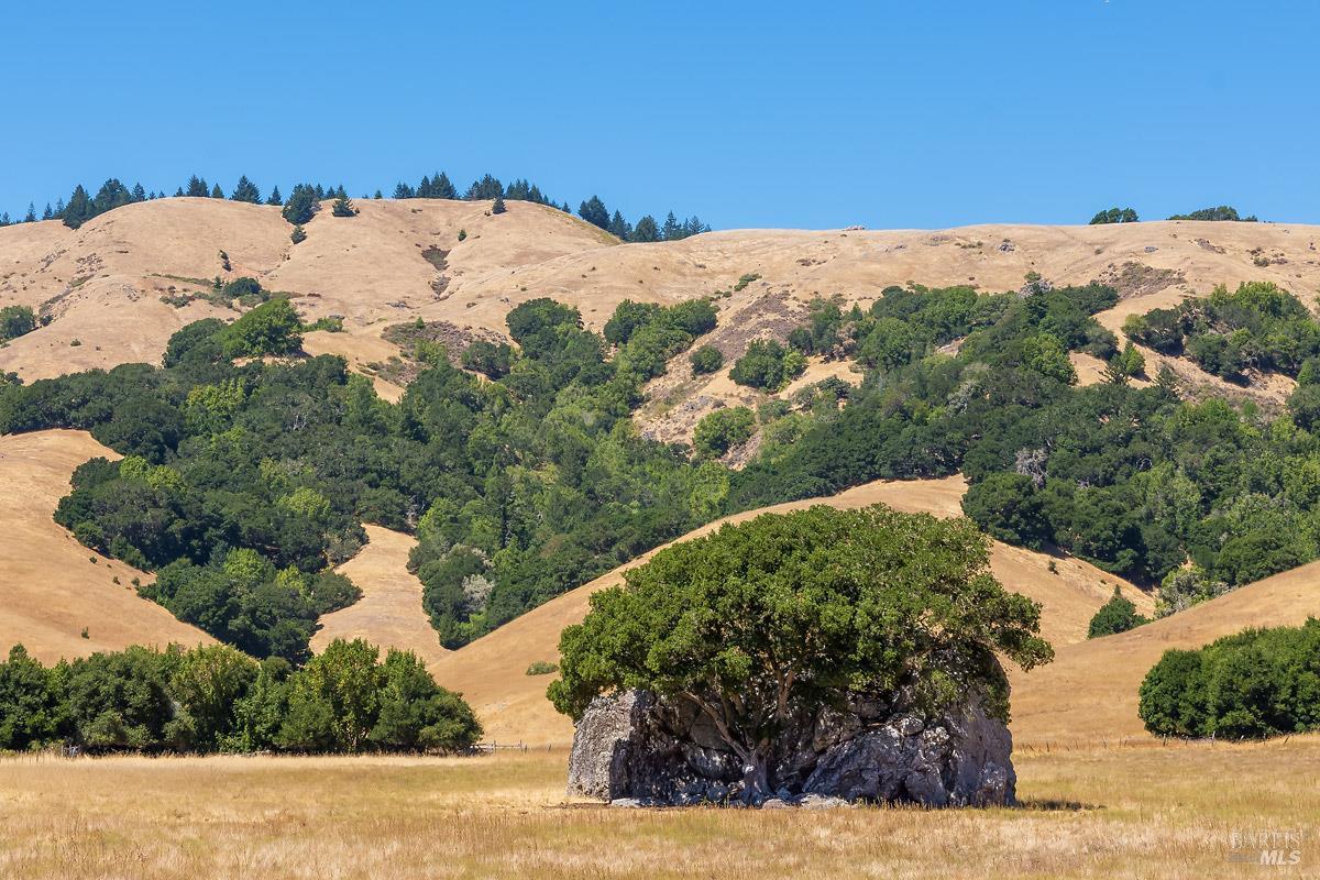 0 West Nicasio Road Forest Knolls, CA 94933 - Photo 31 of 36