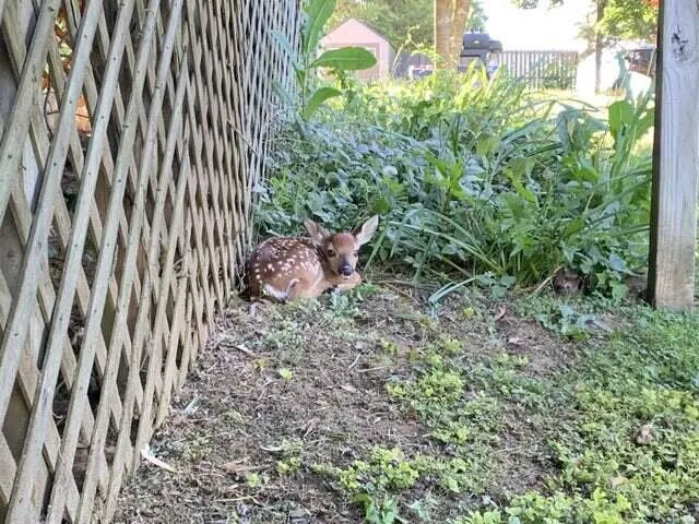 a view of a golf course with a garden