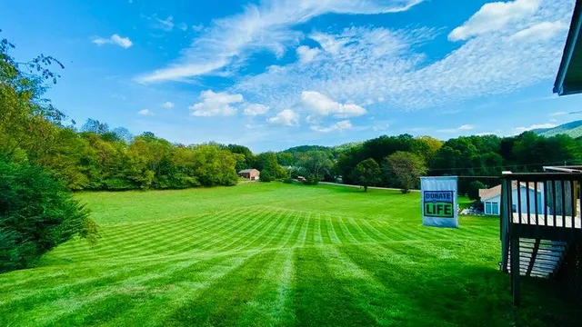 a view of field with grass and trees