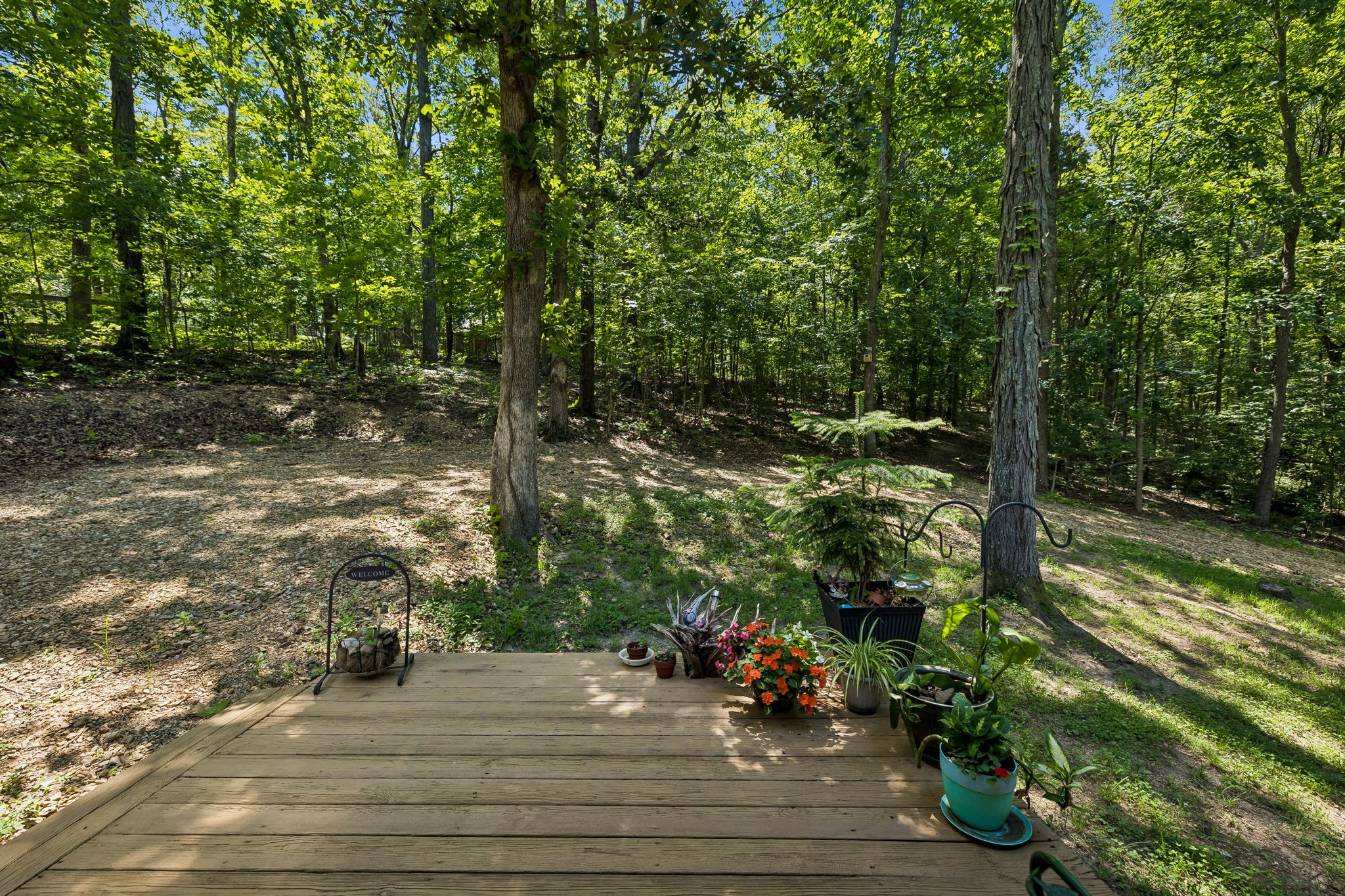 5833 Dewey Carr Road Bethpage, TN 37022 - Photo 27 of 36