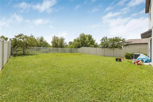 a view of a backyard with plants and a garden