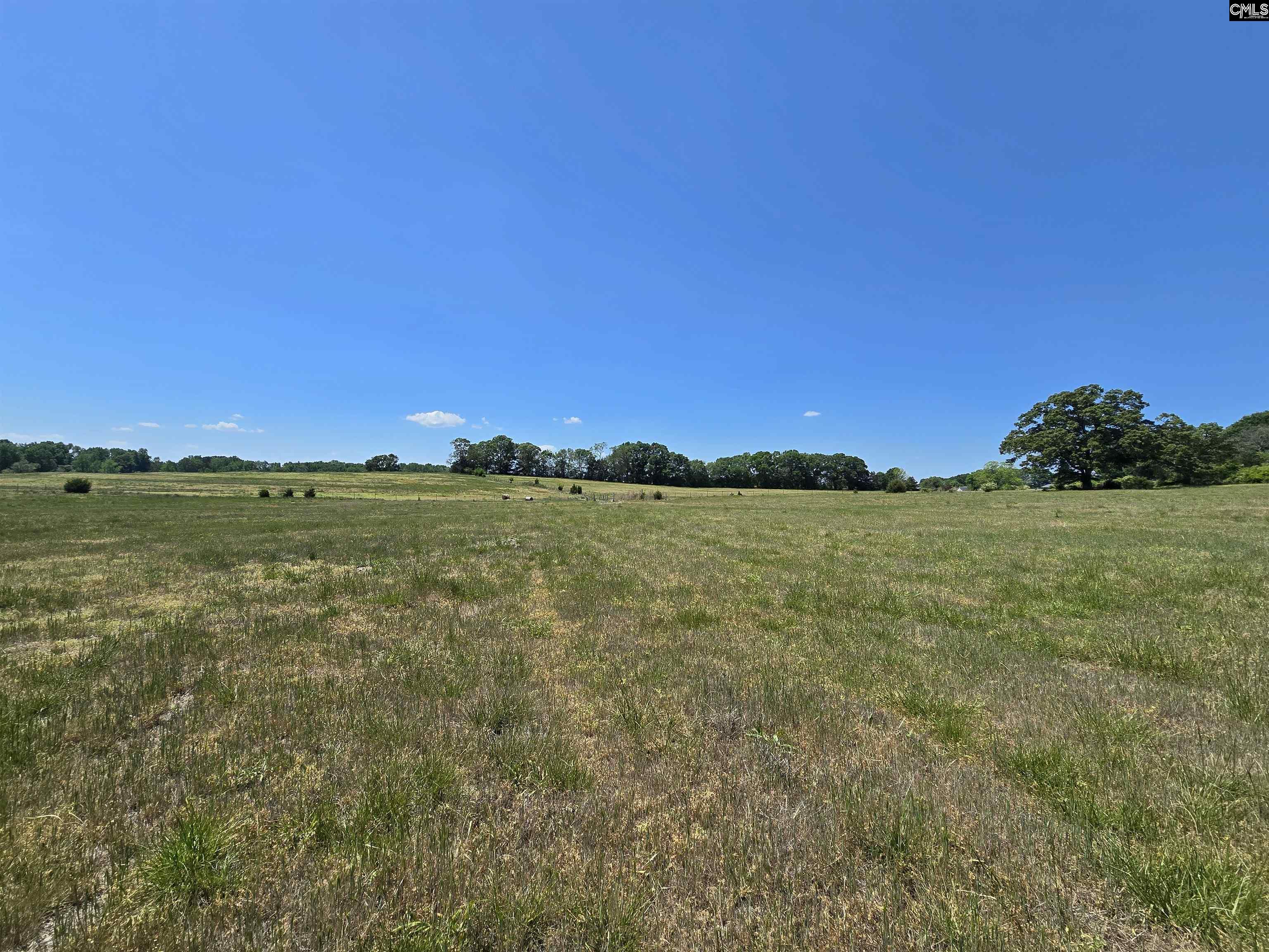 542 Pea Ridge Highway Jonesville, SC 29353 - Photo 25 of 72