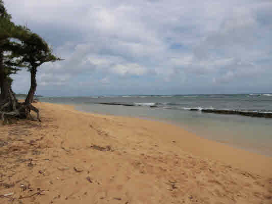 4439 Kaloloku Road, Unit A Kapaa, HI 96746 - Photo 17 of 17 a view of a lake view