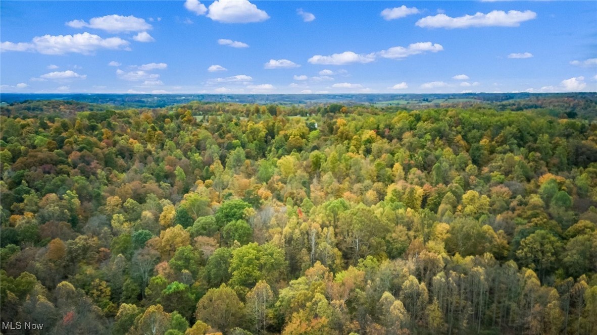 0 Pert Hill Road Hopewell, OH 43746 - Photo 4 of 14