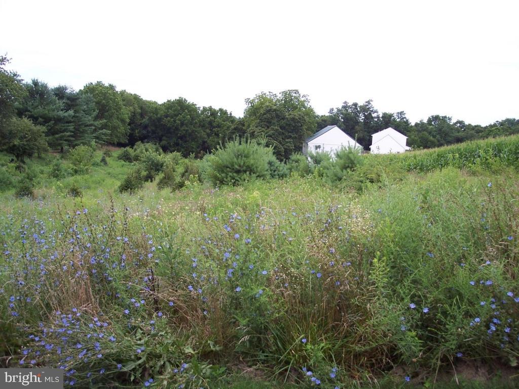 0 Union House Road Lititz, PA 17543 - Photo 2 of 4