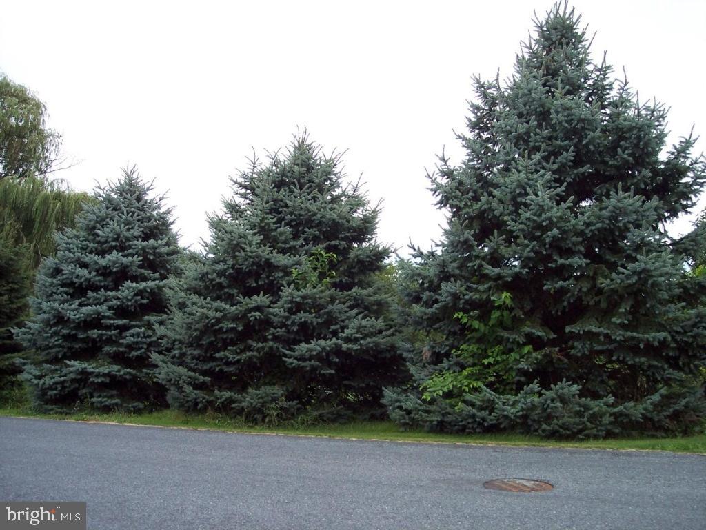 0 Union House Road Lititz, PA 17543 - Photo 3 of 4
