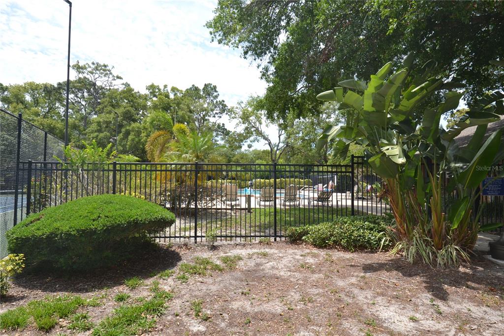 605 Lennox Road West Palm Harbor, FL 34683 - Photo 36 of 37