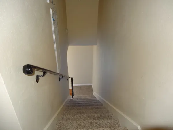 a view of a backyard with large trees and wooden fence