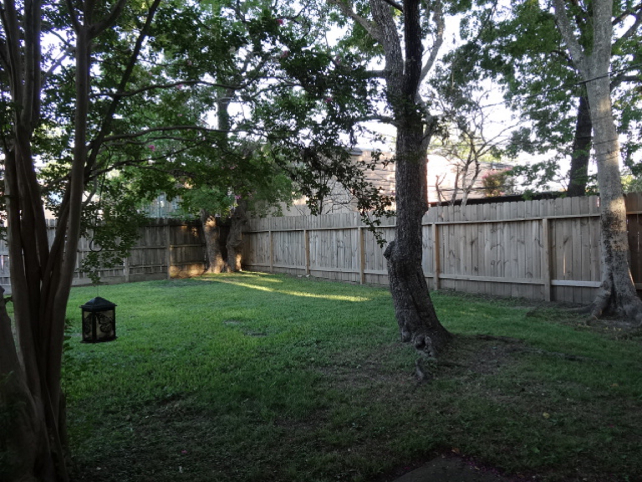 5522 Deep Forest Drive Houston, TX 77092 - Photo 39 of 47 a view of a backyard with large trees and wooden fence