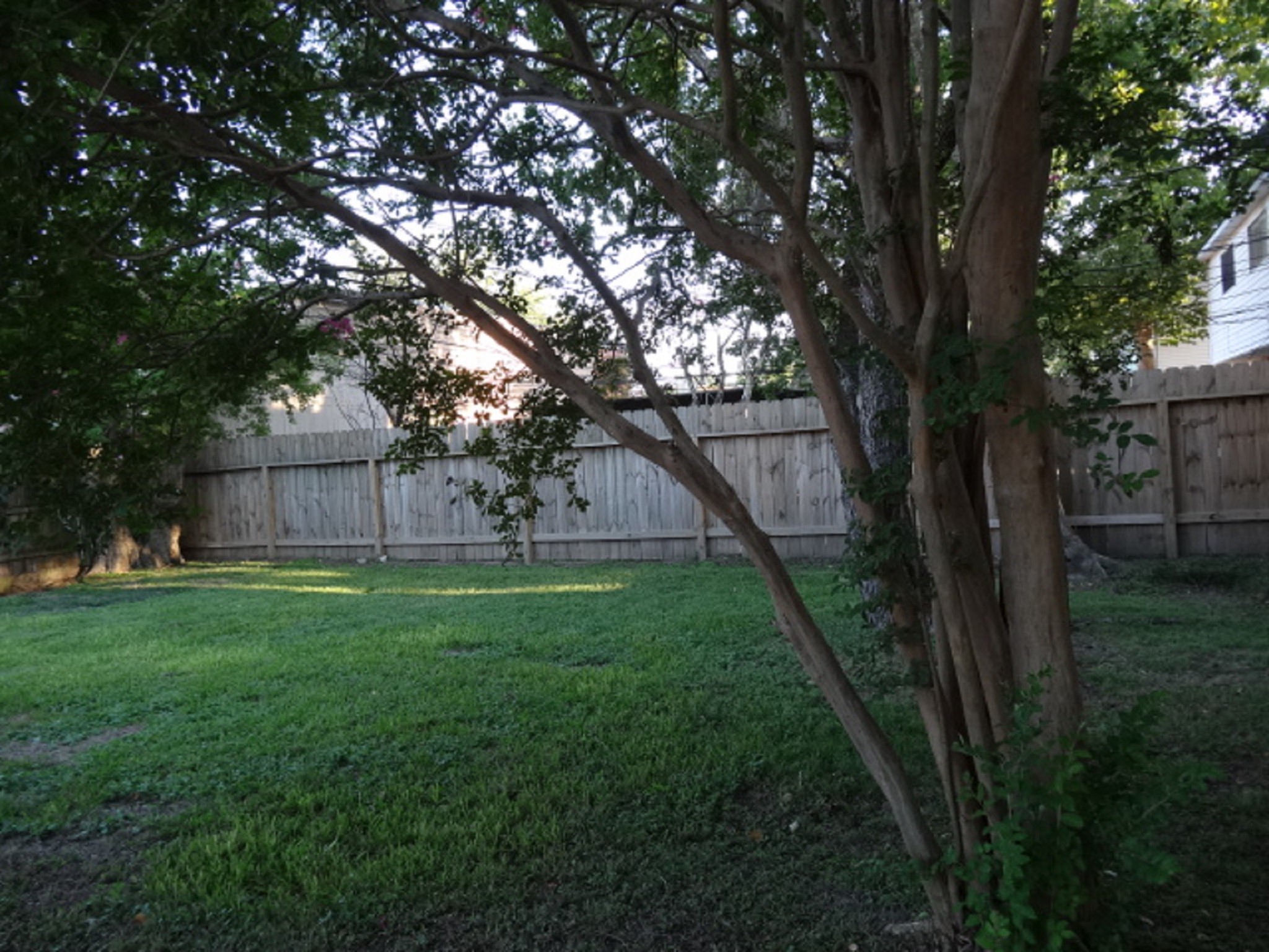 5522 Deep Forest Drive Houston, TX 77092 - Photo 40 of 47 a view of backyard with large trees and wooden fence