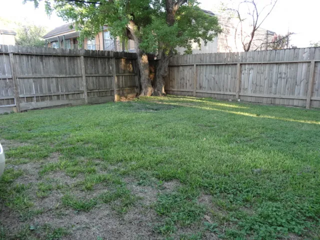 a view of a backyard with wooden fence
