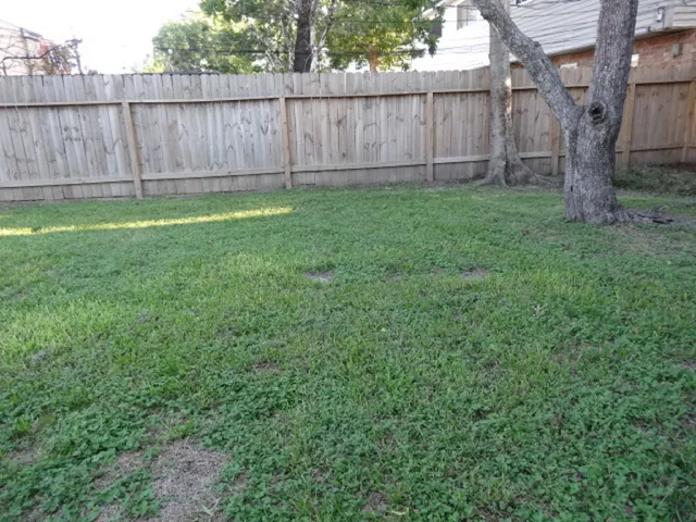 a view of backyard with large trees and wooden fence