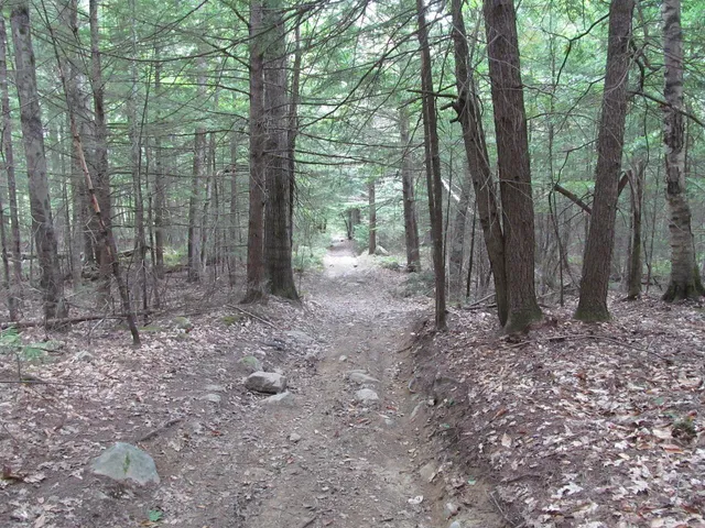 $119,900 | 27.9 Cummings Lane, Oxford, ME 04270