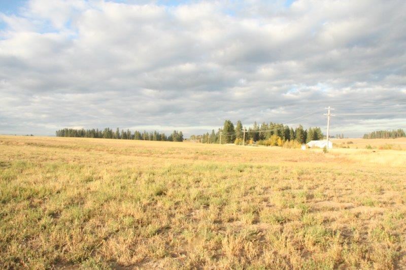 212-xx North Division Road, Unit TRACT 6 Colbert, WA 99005 - Photo 3 of 6
