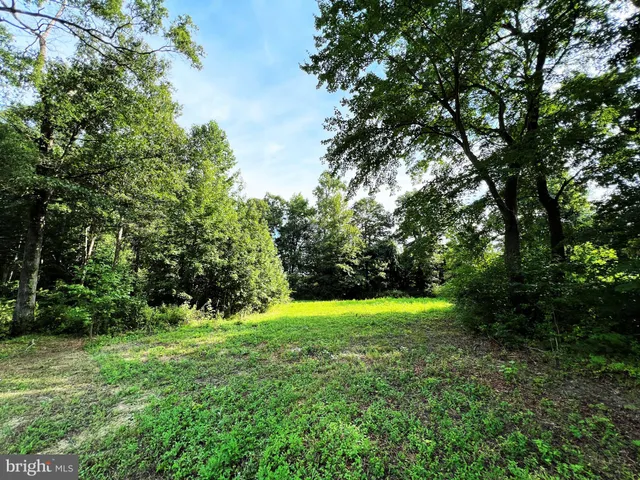 a view of green field with trees in the background