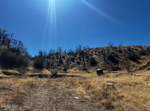 a view of outdoor space with trees