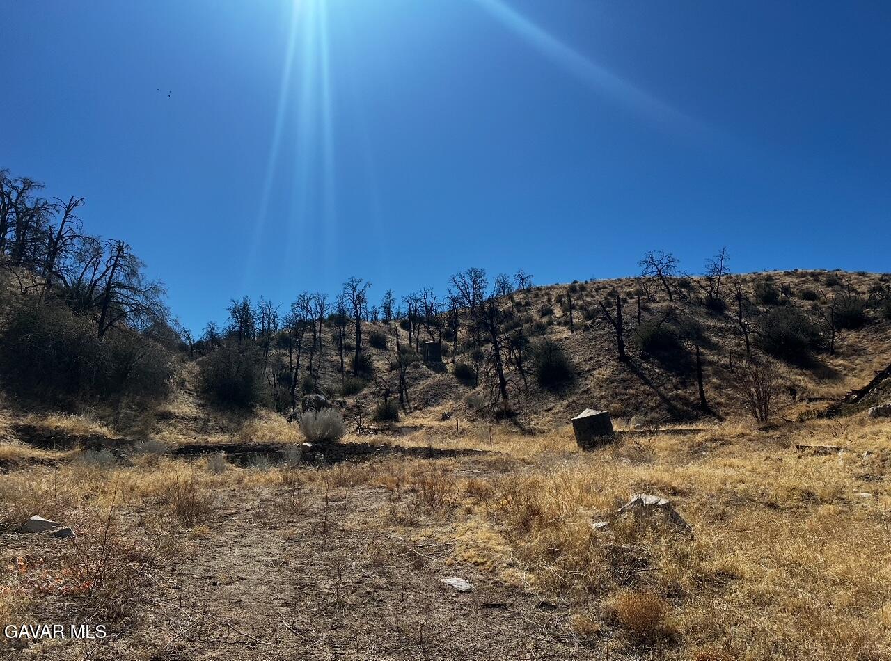 a view of outdoor space with trees