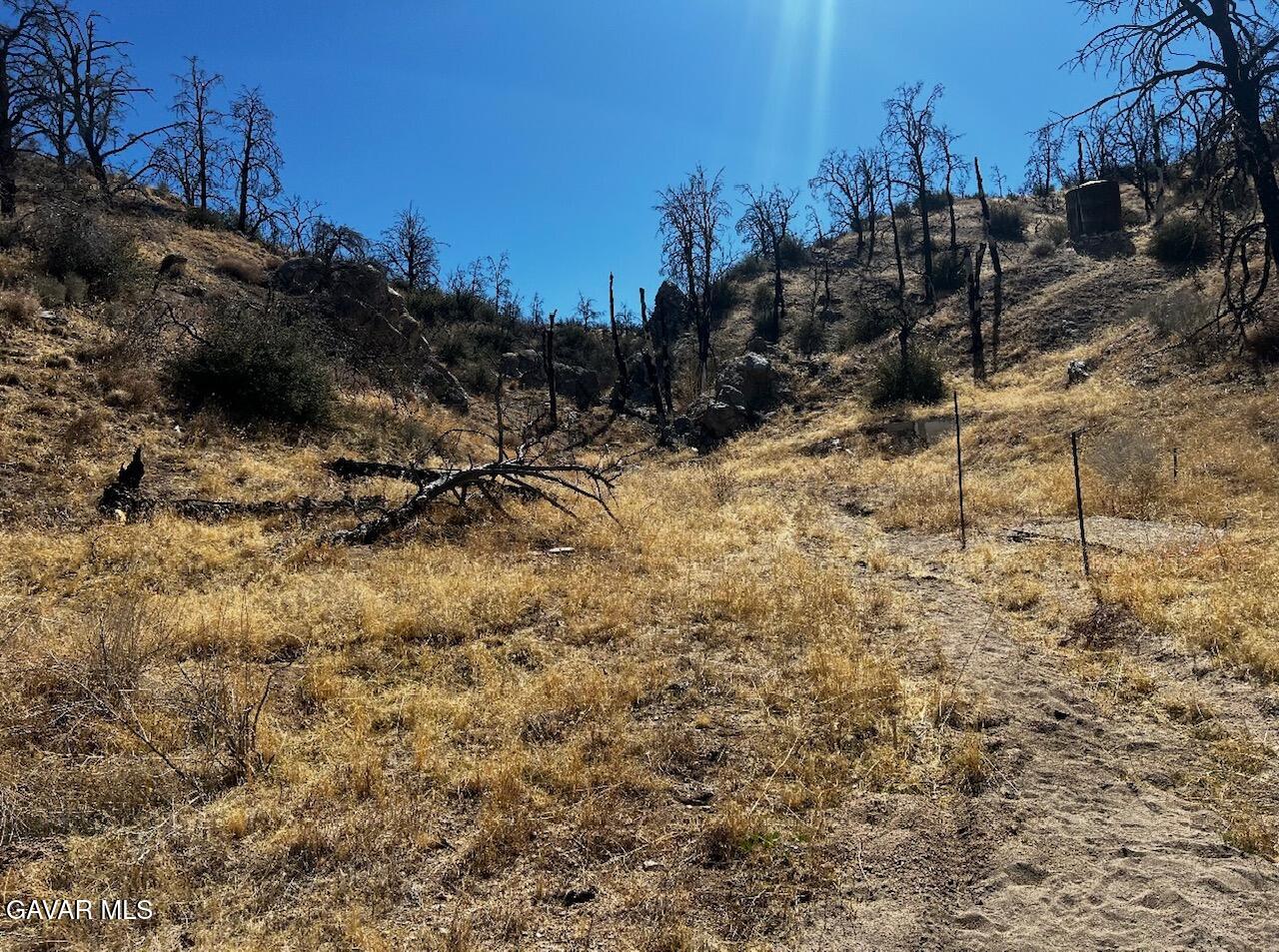 195 Street E Llano Ca Llano, CA 93544 - Photo 2 of 15 a view of a yard with trees