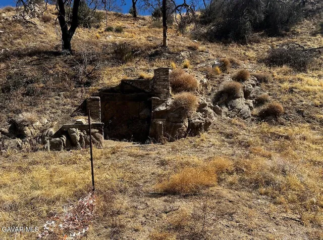 a view of a yard of the house