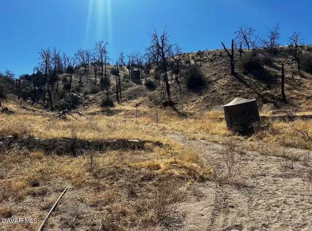 a view of a backyard of the house