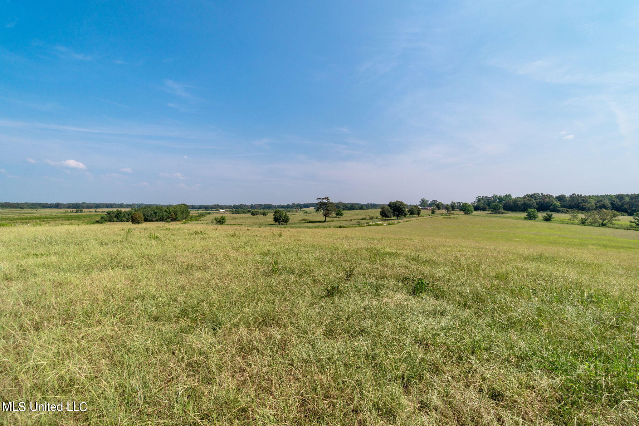 603 Osborn Moody Road Poplarville, MS 39470 - Photo 2 of 72 603_Osborn_Moody_Rd-1