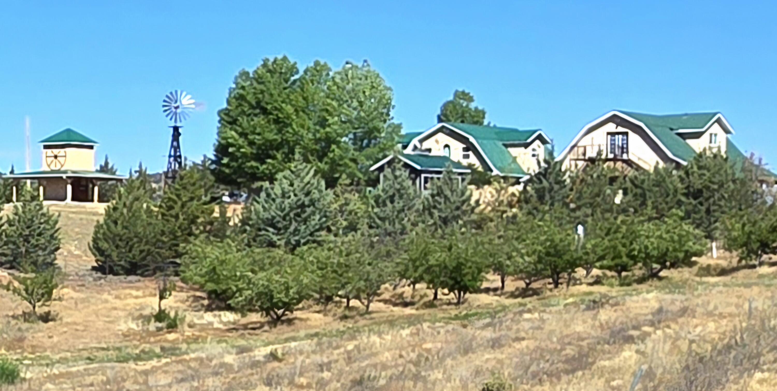 624 Baker Ranch Road Young, AZ 85554 - Photo 66 of 96
