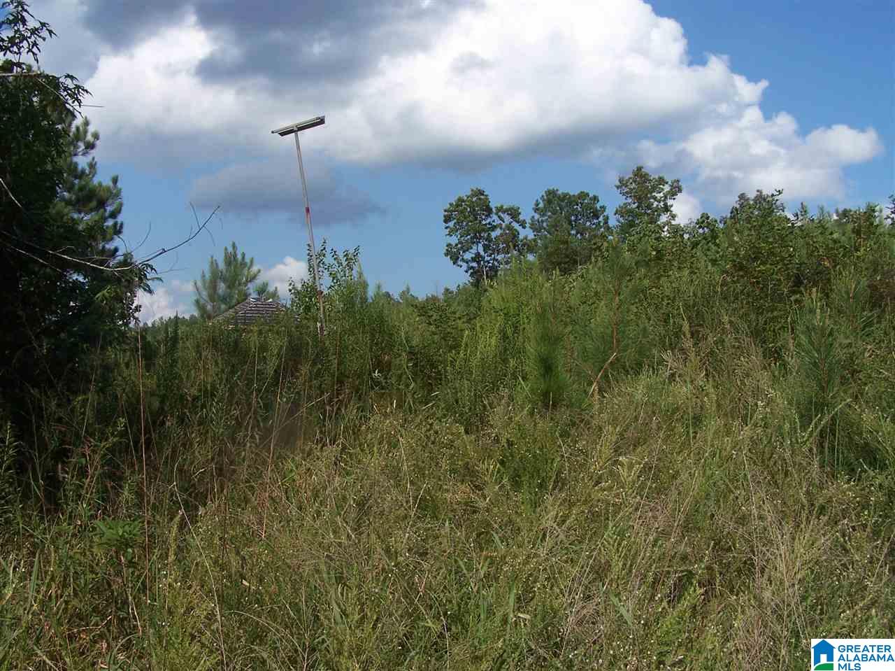 0 Jackson Trail, Unit 140 ACRES Altoona, AL 35952 - Photo 42 of 50