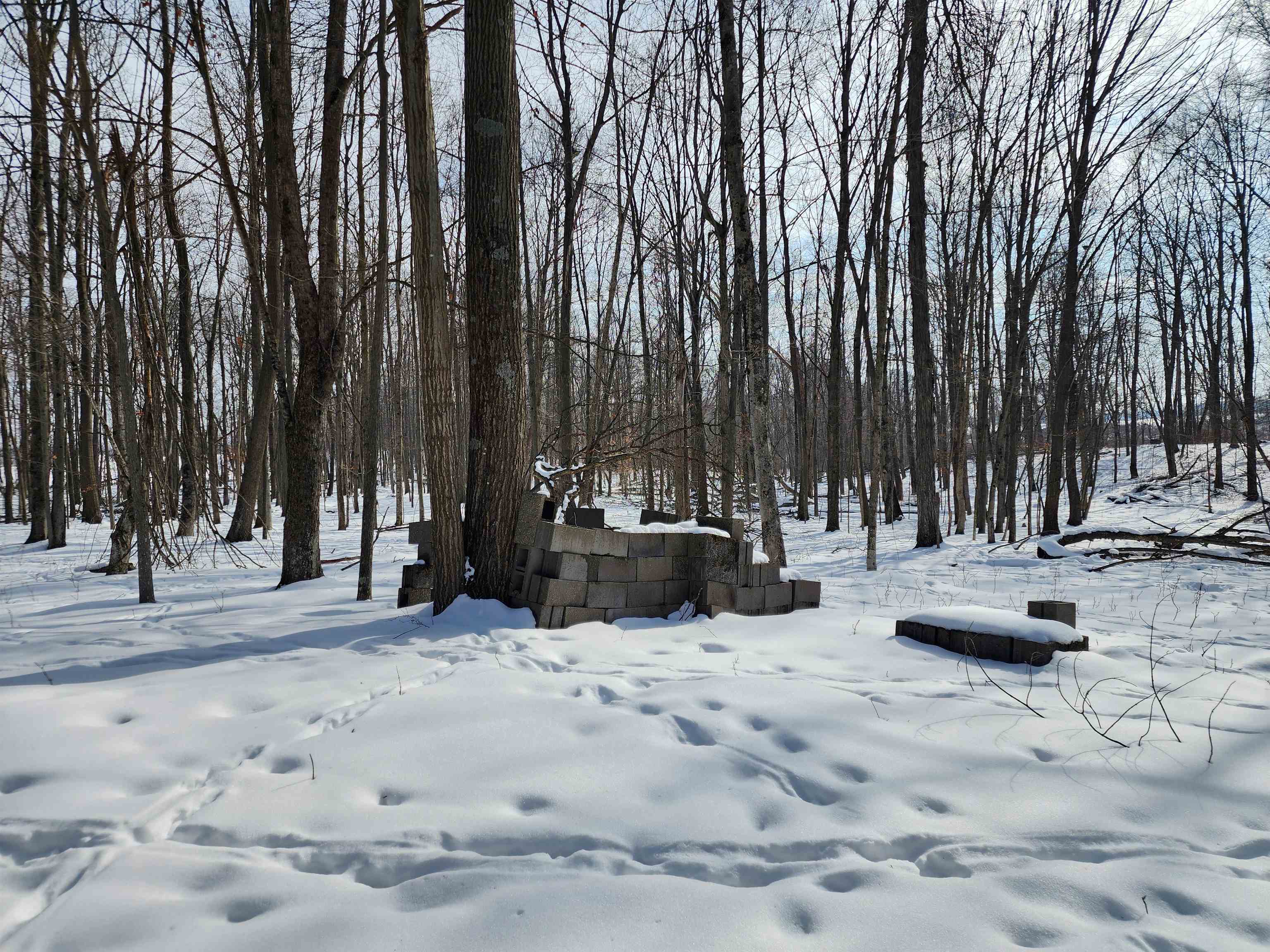 33-acres South Peoples Road Fenwick, MI 48834 - Photo 12 of 20