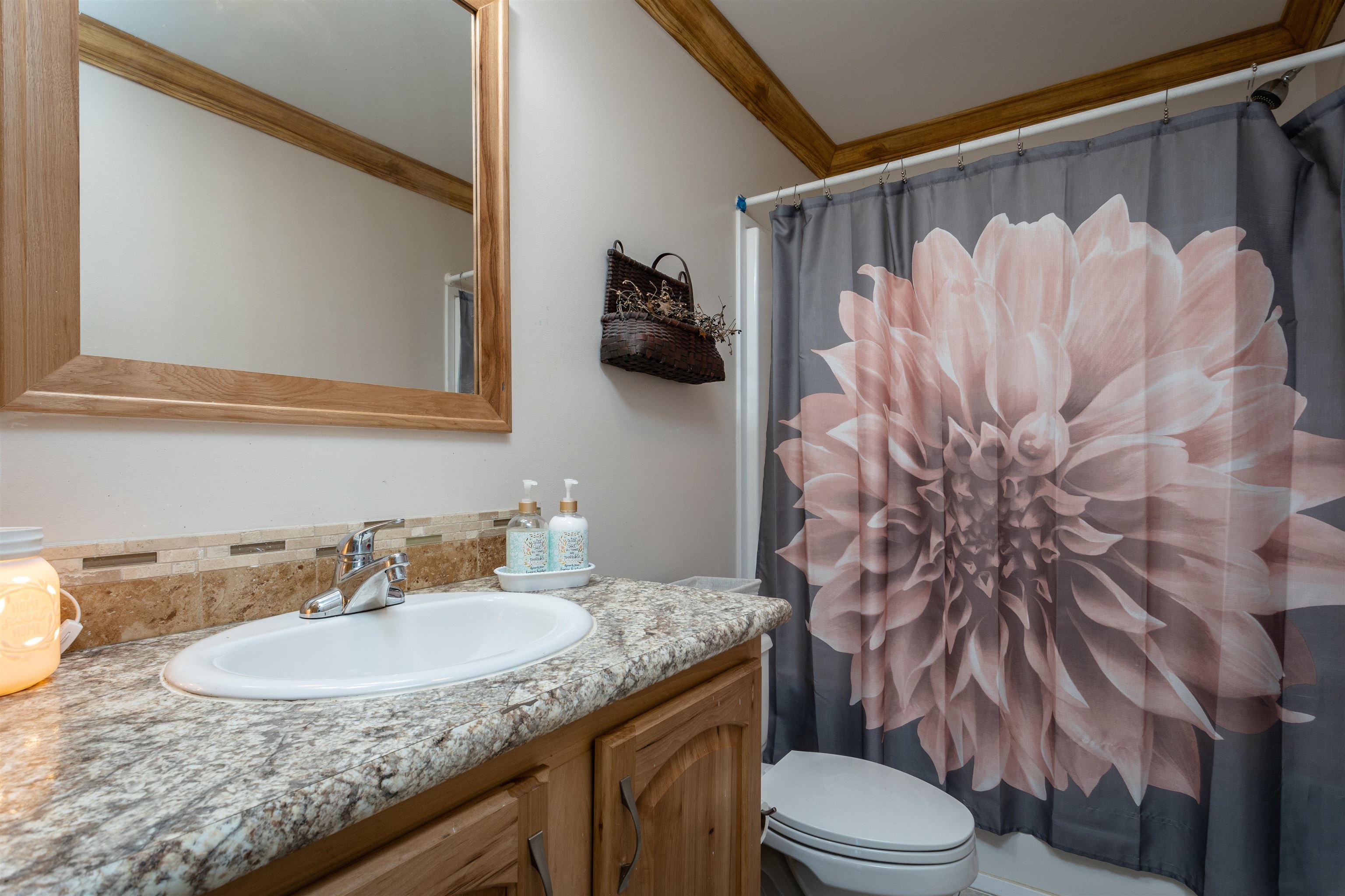 3822 Berrytown Road Elkton, VA 22827 - Photo 20 of 41 Gallery Image 20