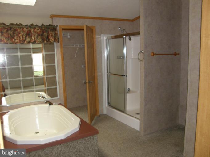 14026 Maple Ridge Hancock, MD 21750 - Photo 7 of 9 Bath (Master)