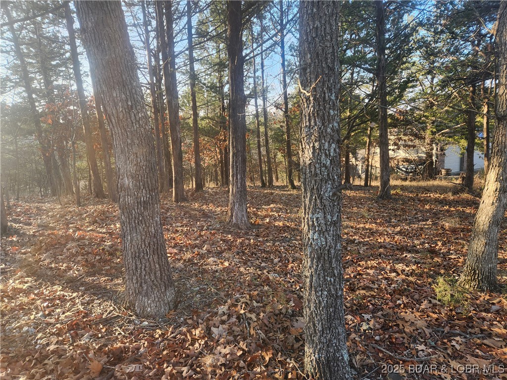 Tbd West End Circle Osage Beach, MO 65065 - Photo 3 of 5 Back of lot view