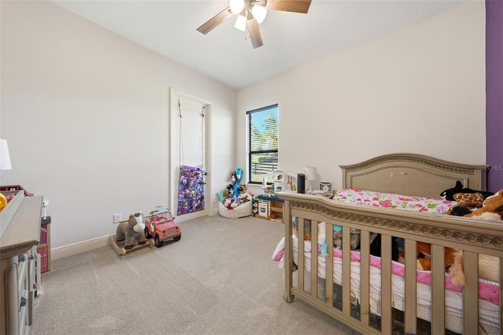 35701 Panther Ridge Road Eustis, FL 32736 - Photo 38 of 60