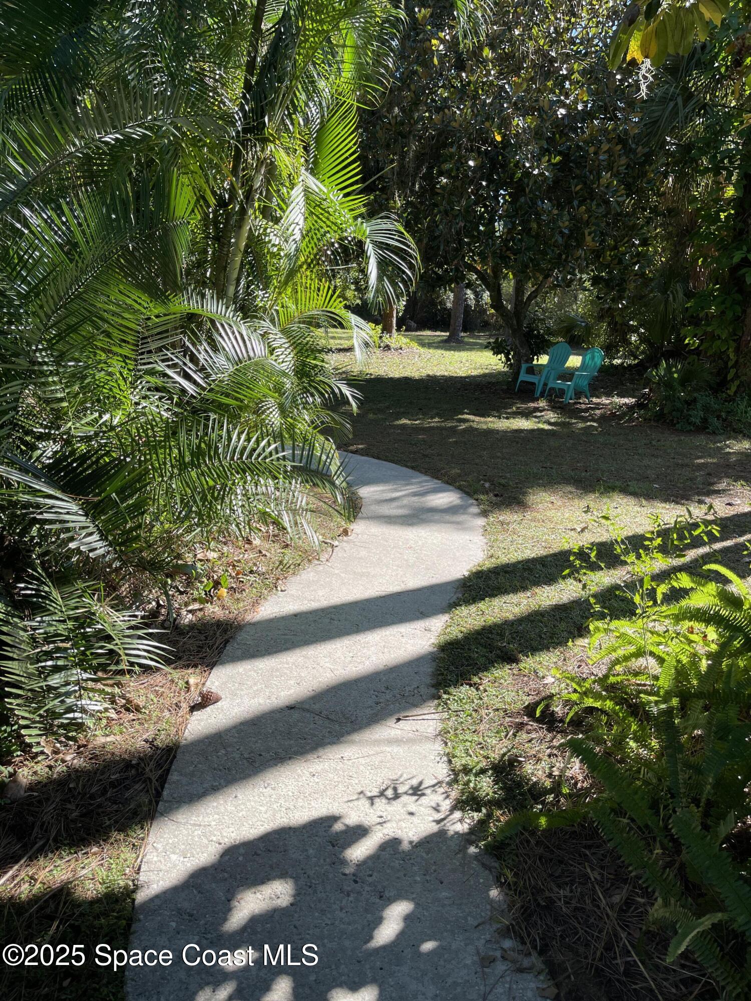 6910 Sheridan Road Melbourne, FL 32904 - Photo 5 of 38 a view of a yard with plants