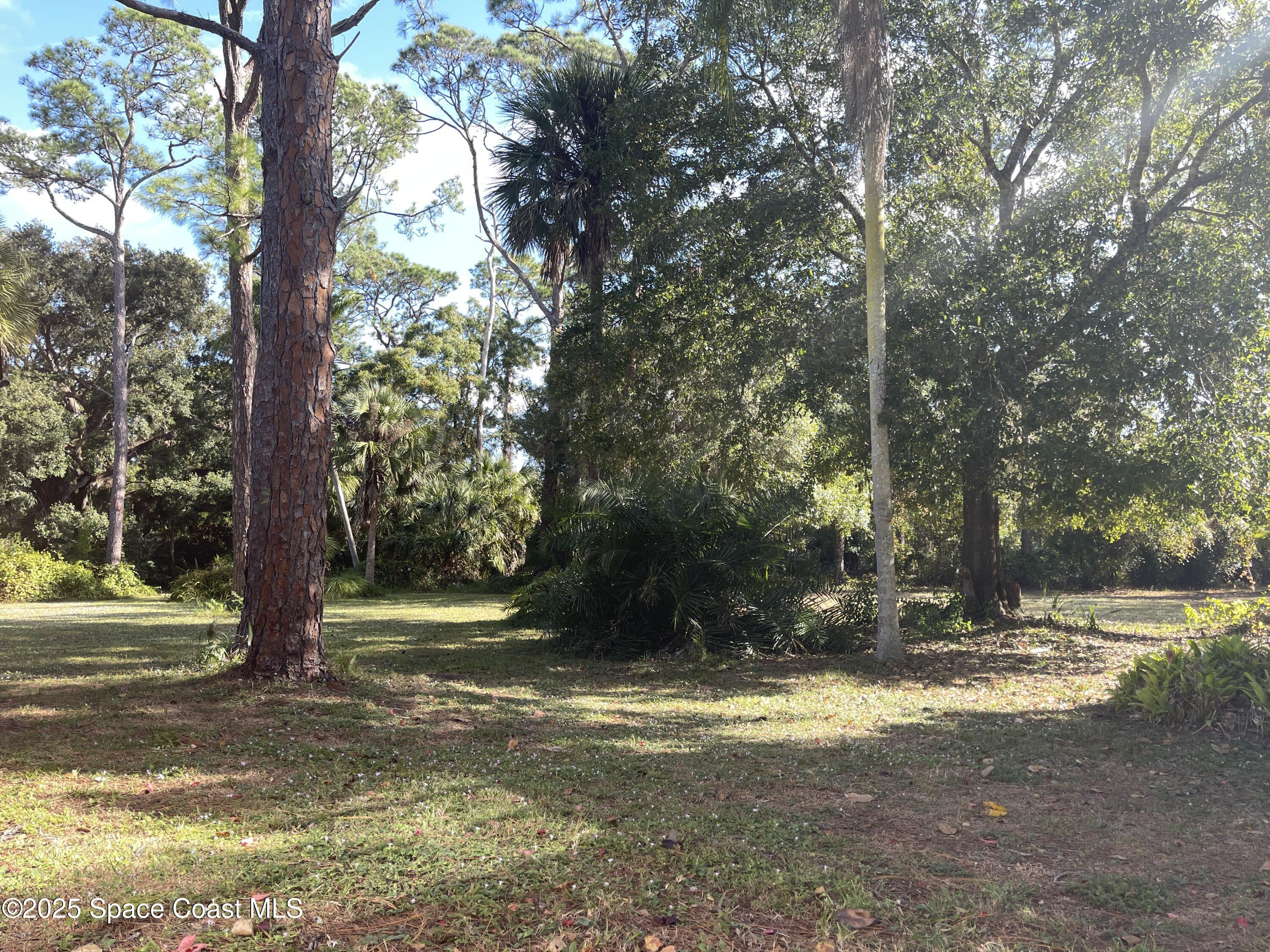 6910 Sheridan Road Melbourne, FL 32904 - Photo 6 of 38 a view of outdoor space with trees