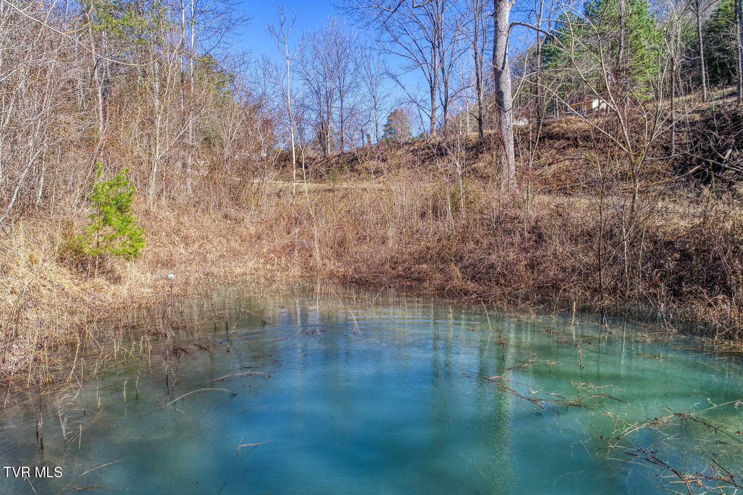 582 Jimmie Brooks Road Sneedville, TN 37869 - Photo 11 of 32 582 Brooks. Sneedvl MLSa (35 of 36)