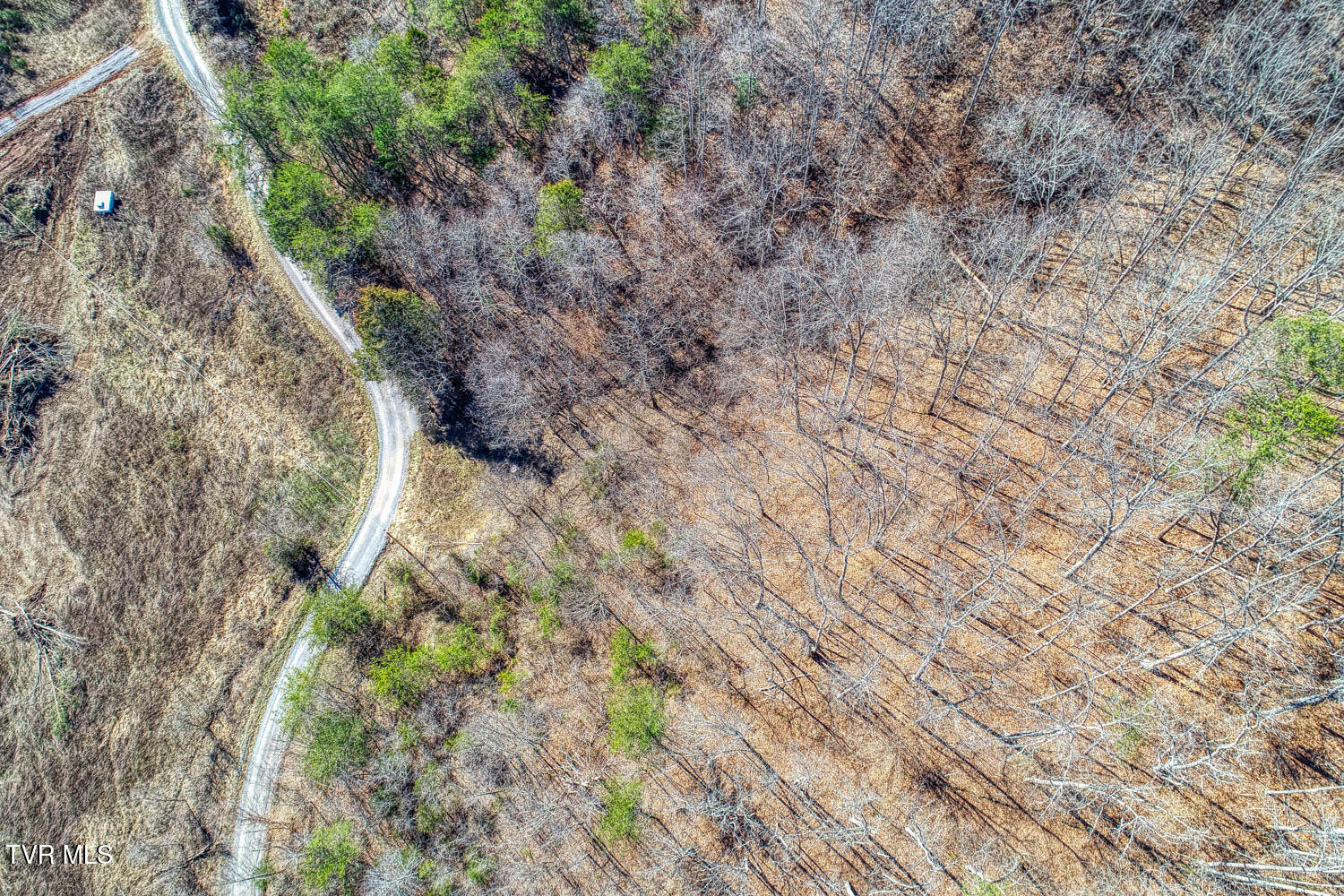 582 Jimmie Brooks Road Sneedville, TN 37869 - Photo 17 of 32 582 Brooks. Sneedvl MLSa (17 of 36)