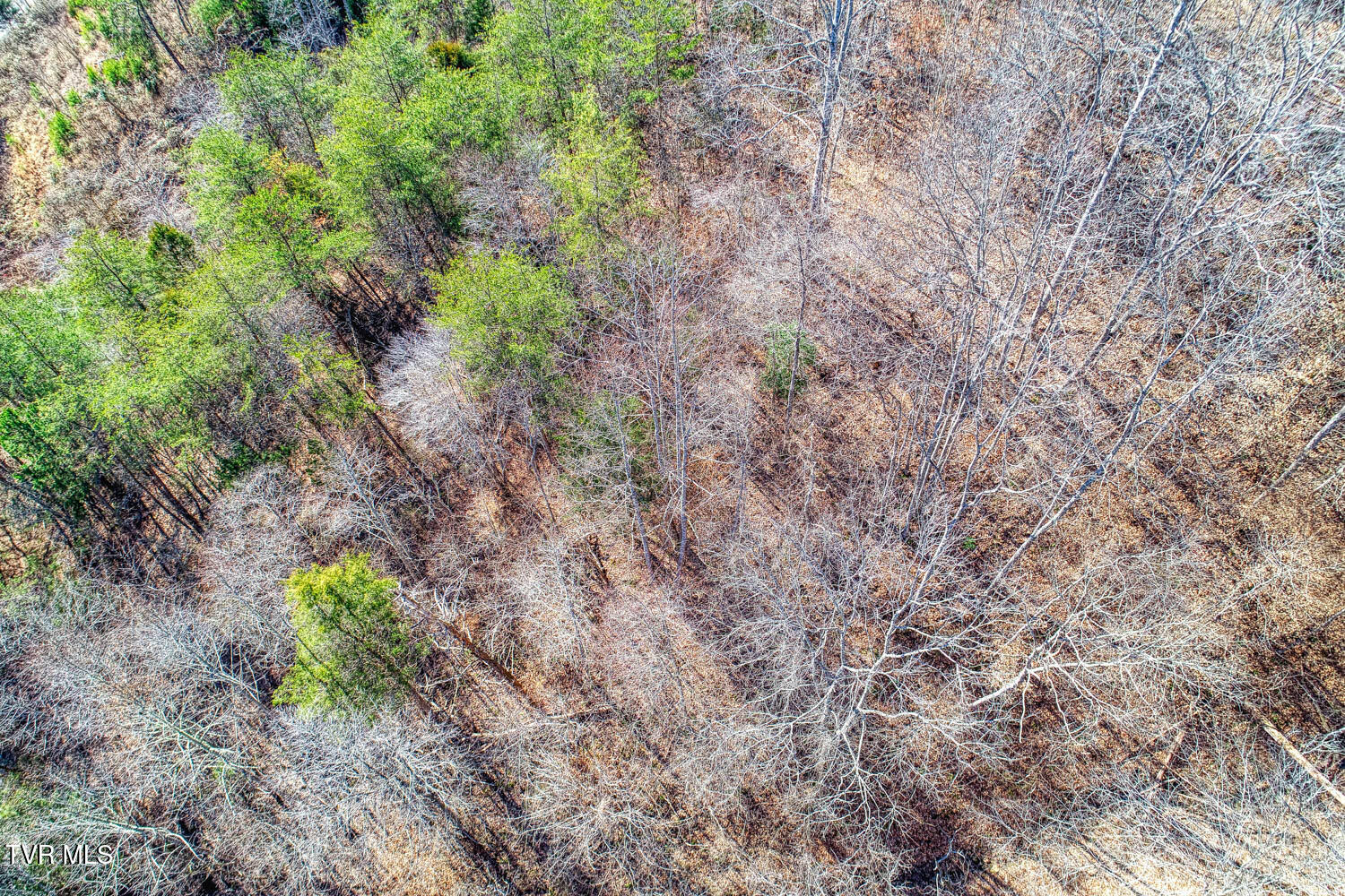 582 Jimmie Brooks Road Sneedville, TN 37869 - Photo 19 of 32 582 Brooks. Sneedvl MLSa (21 of 36)