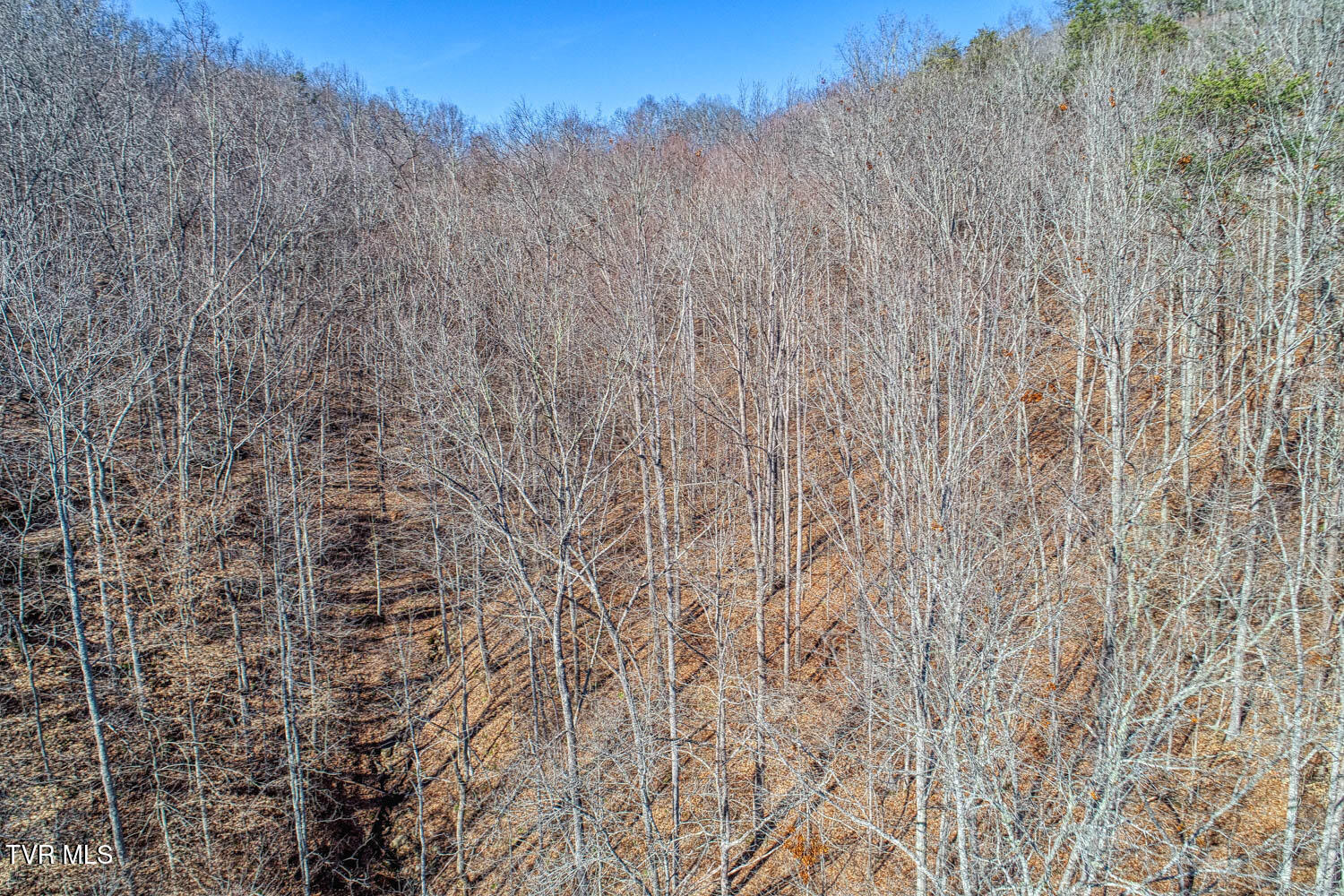 582 Jimmie Brooks Road Sneedville, TN 37869 - Photo 20 of 32 582 Brooks. Sneedvl MLSa (22 of 36)