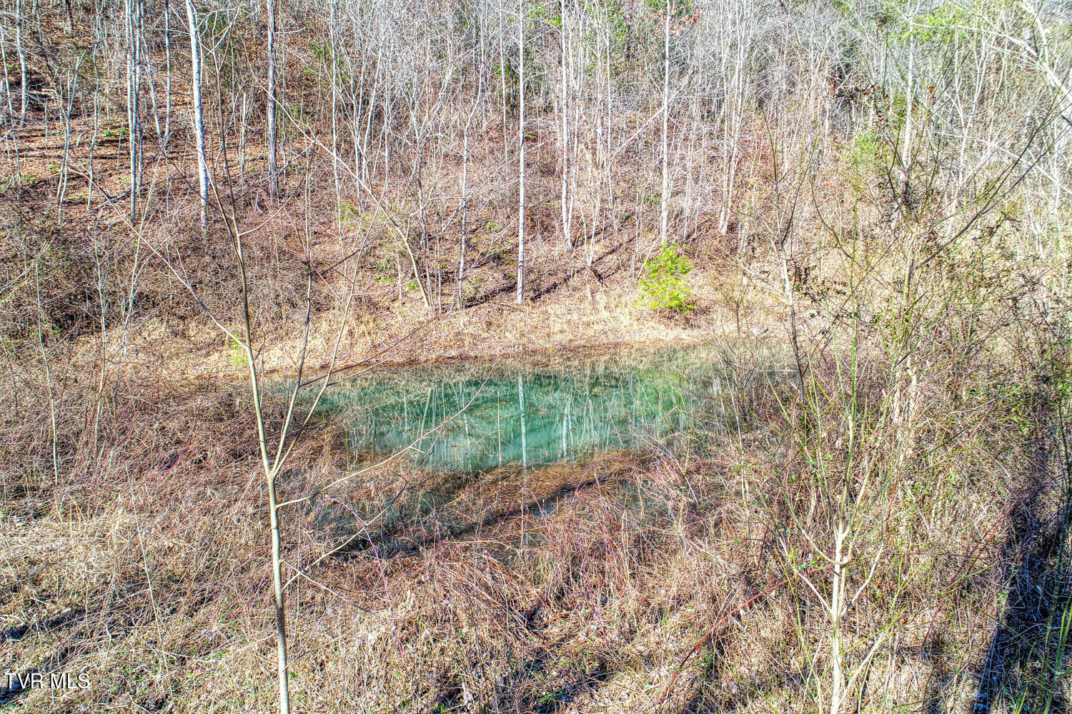 582 Jimmie Brooks Road Sneedville, TN 37869 - Photo 2 of 32 582 Brooks. Sneedvl MLSa (32 of 36)