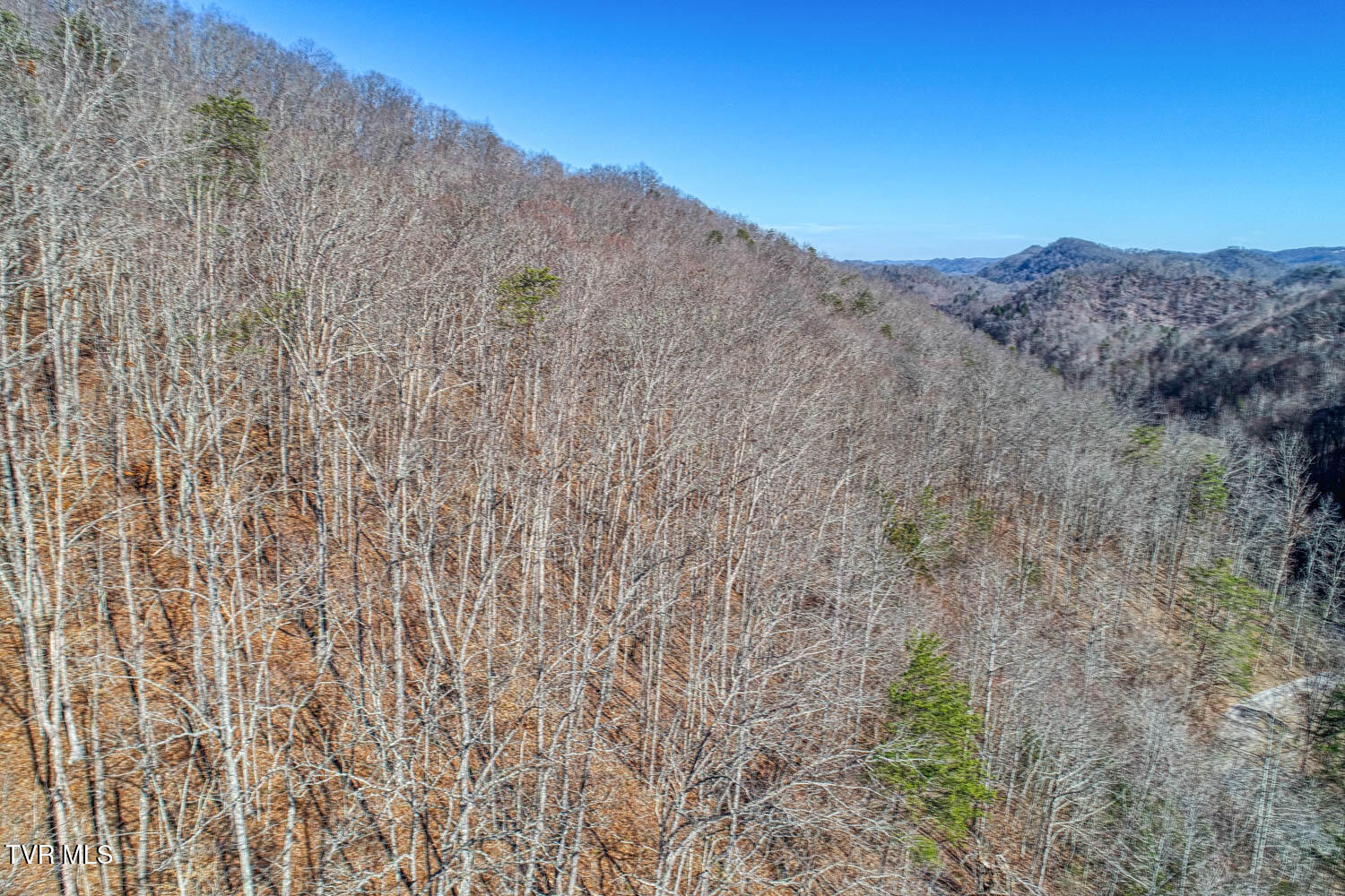 582 Jimmie Brooks Road Sneedville, TN 37869 - Photo 21 of 32 582 Brooks. Sneedvl MLSa (23 of 36)