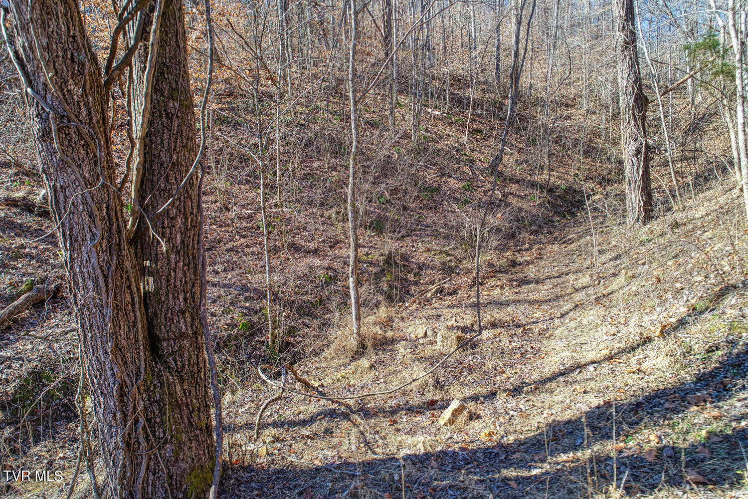 582 Jimmie Brooks Road Sneedville, TN 37869 - Photo 3 of 32 582 Brooks. Sneedvl MLSa (1 of 36)