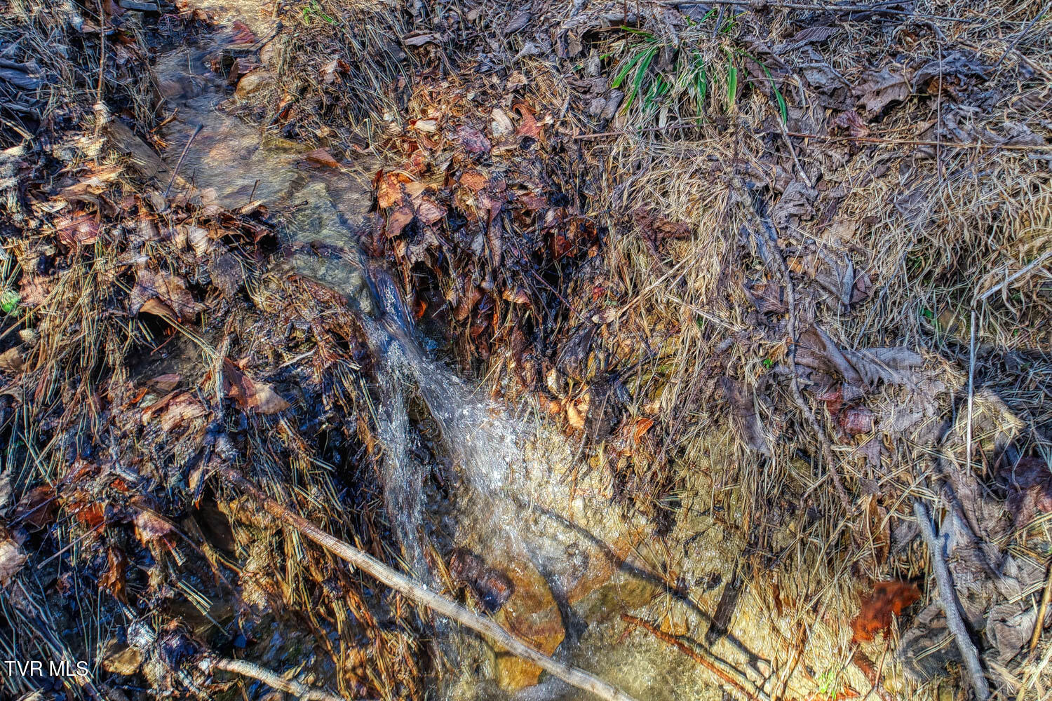 582 Jimmie Brooks Road Sneedville, TN 37869 - Photo 5 of 32 582 Brooks. Sneedvl MLSa (3 of 36)